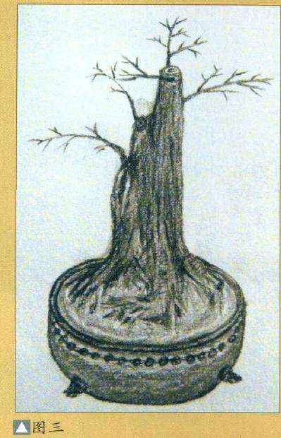 九里香盆景造型设计的方法