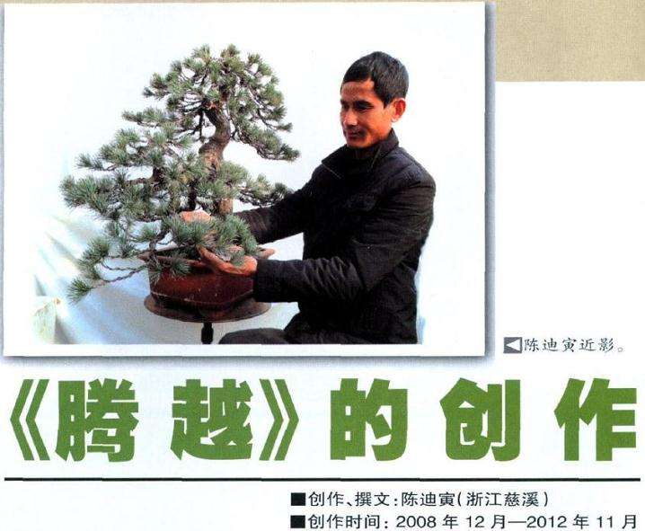 图解 五针松盆景怎么制作的过程