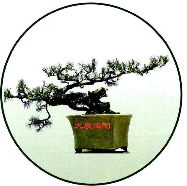 图解 历时30年制作山松盆景的过程