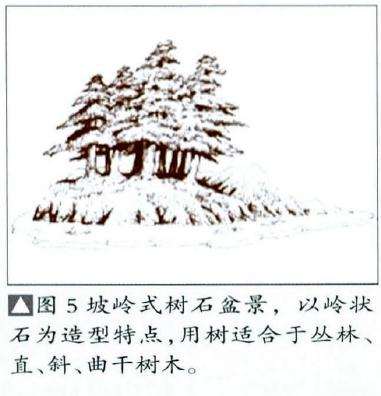 坡岭式坡岭式树石盆景