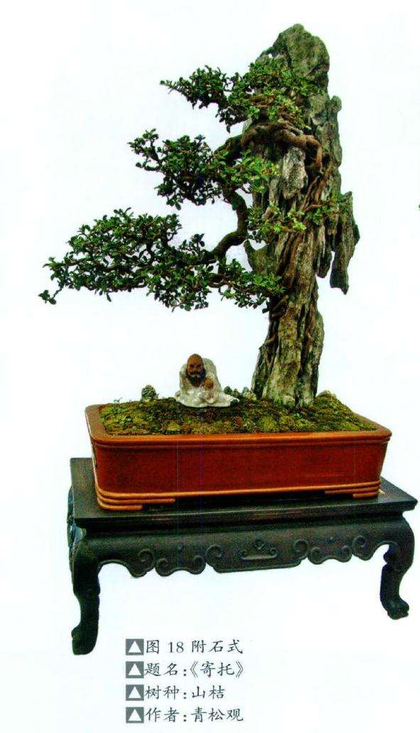 附石(木)式盆景