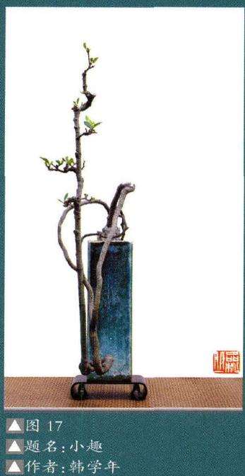 岭南盆景素仁格