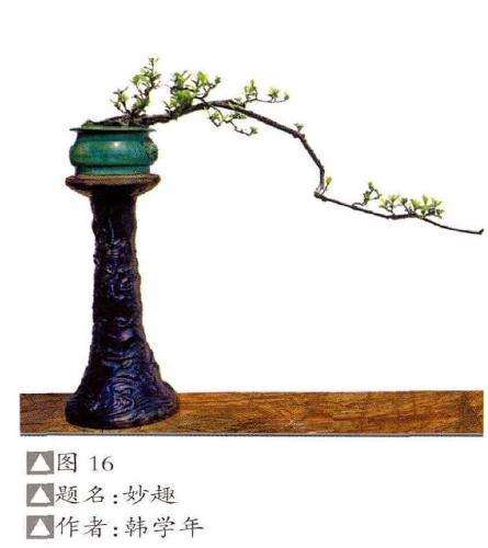 岭南盆景素仁格