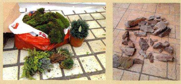 图解 云南盆友图解水旱盆景的制作过程