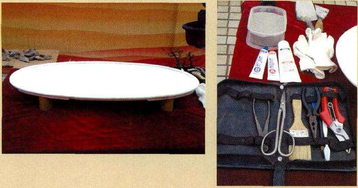 图解 云南盆友图解水旱盆景的制作过程