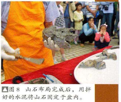 山石盆景布局完成后