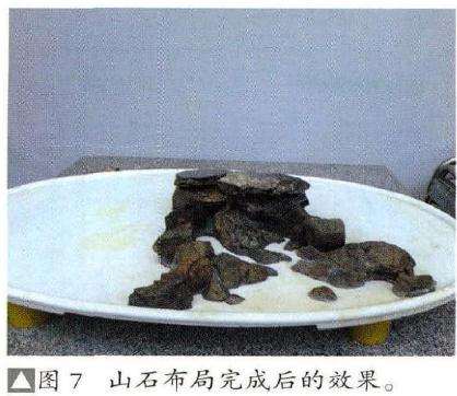 山石盆景布局兄成后的效果