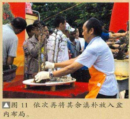 图解 云南盆友图解水旱盆景的制作过程