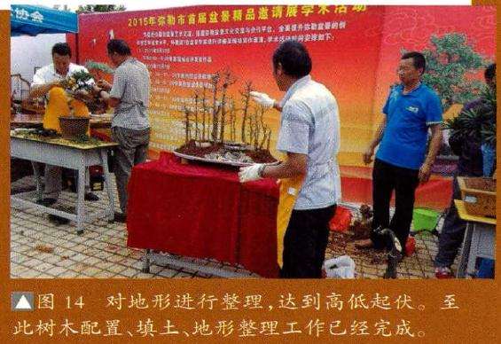 对地形进行盆景整理