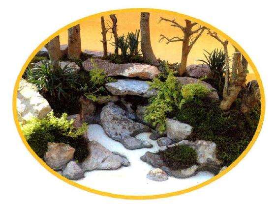 这是兄成后的盆景水面效果