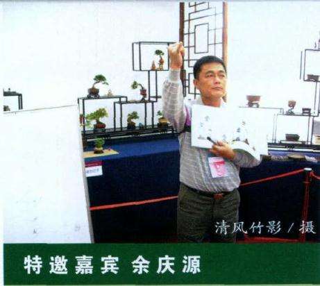 图解 BCI国际大师 盆景前后对比图