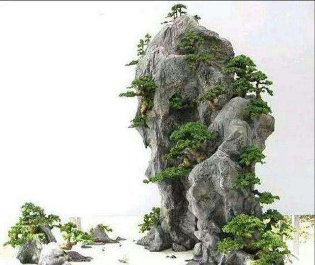 散点石在山水盆景中的4个运用方法