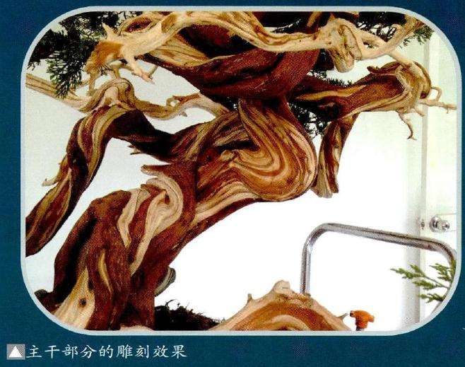 盆景主干部分的雕刻效果