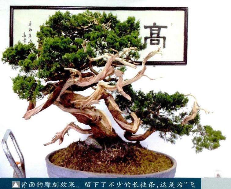 盆景背面的雕刻效果