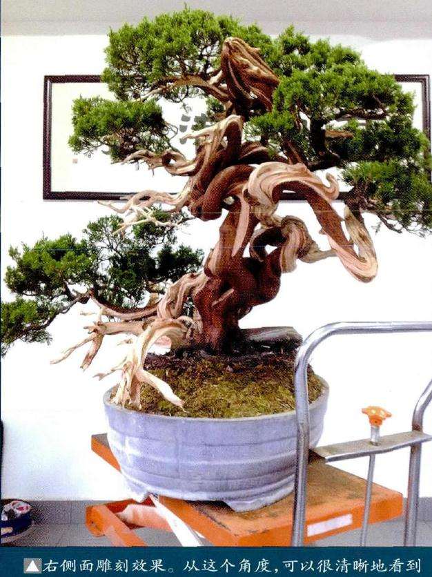 盆景右侧面雕刻效果