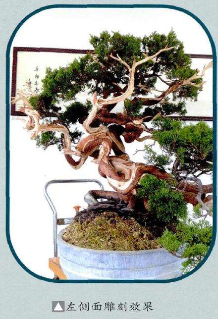 盆景左侧面雕刻效果