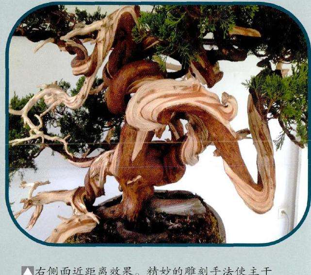 盆景的雕刻手法