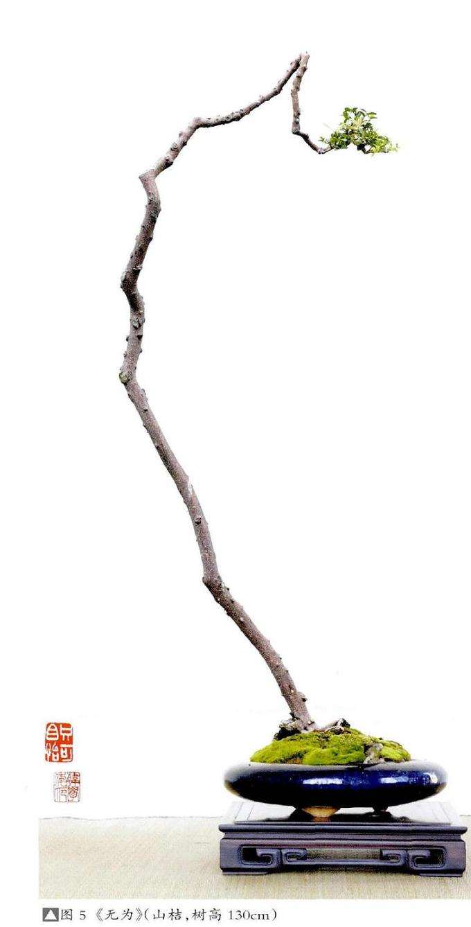 韩学年的素仁格盆景《童梦》 图片