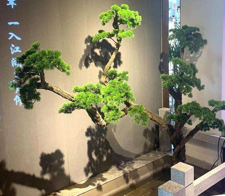 禅画与素仁盆景的5个契合点