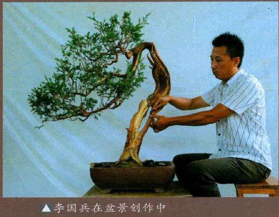 李国兵在盆景制作中