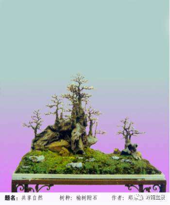 盆景造型的基本理论之(三) 造型手法