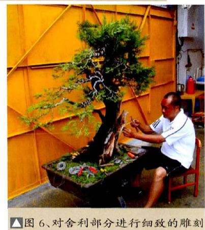 对盆景舍利部分进行细致的雕刻处理
