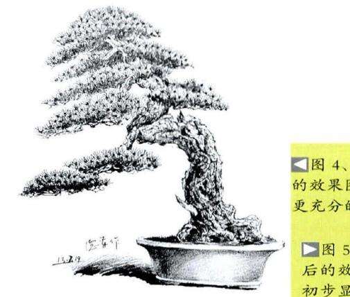 吴德军设计制作后的盆景效果图