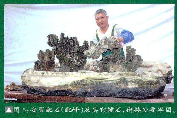 大型雨林式盆景的制作过程