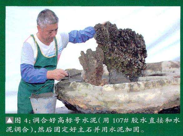 大型雨林式盆景的制作过程