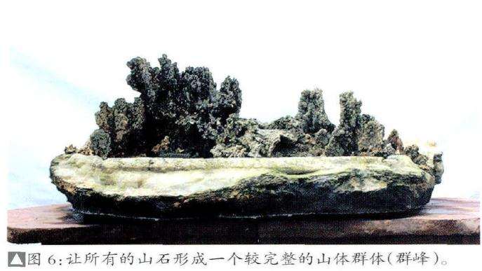 大型雨林式盆景的制作过程