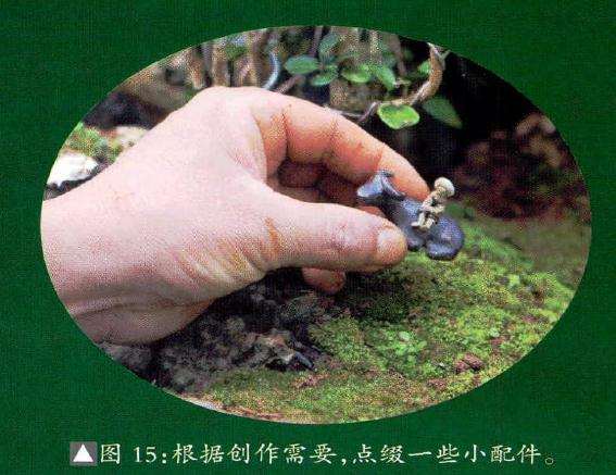 根据盆景创作需要""