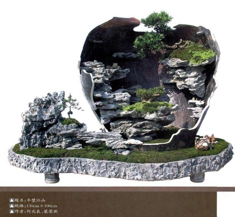 图解 盆景《半壁江山》怎么制作的过程