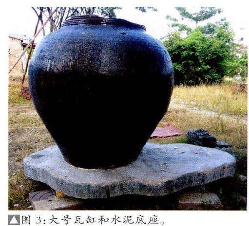 图解 盆景《半壁江山》怎么制作的过程