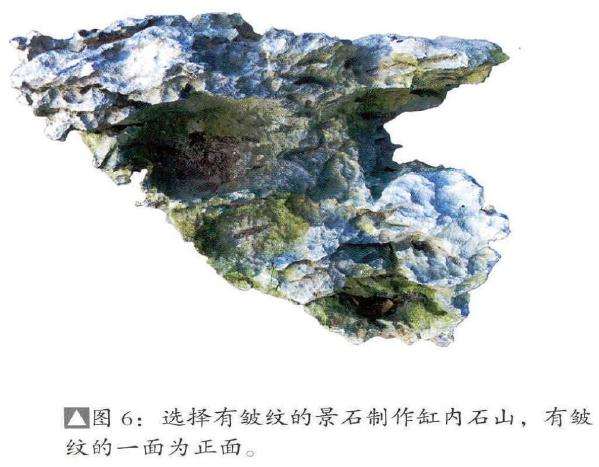 选择有皱纹的景石制作缸内石山