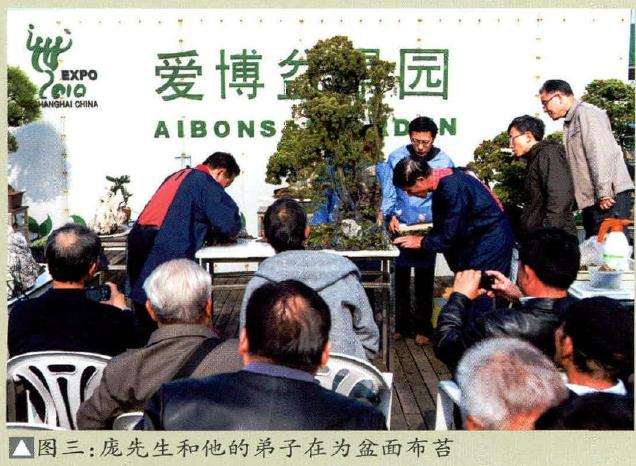 庞先生和他的弟子在为盆面布苔