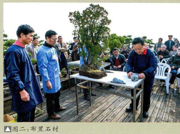布置盆景石材