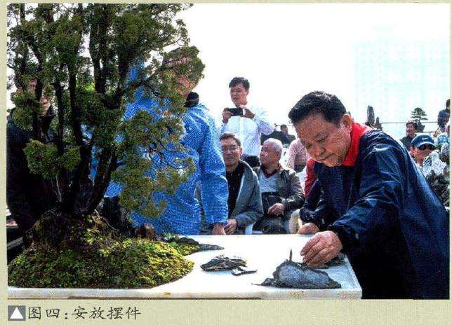 给盆景安放摆件