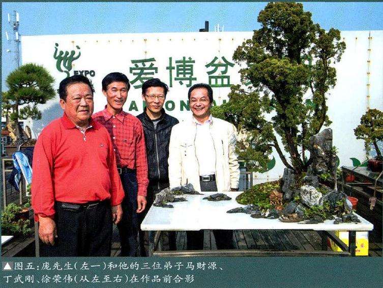 图解 树石盆景怎么制作的9个过程