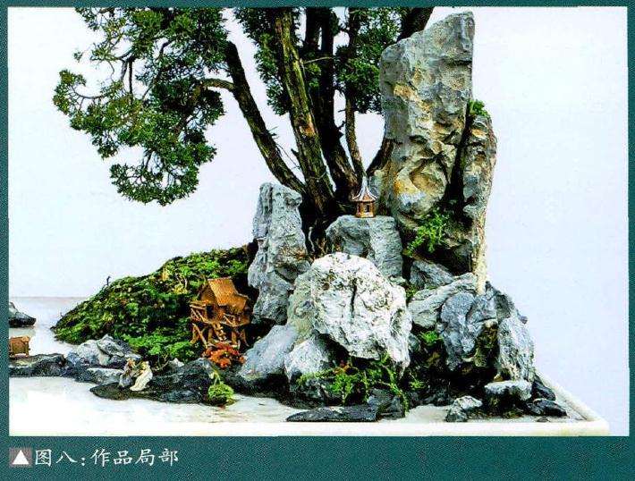 盆景作品局部