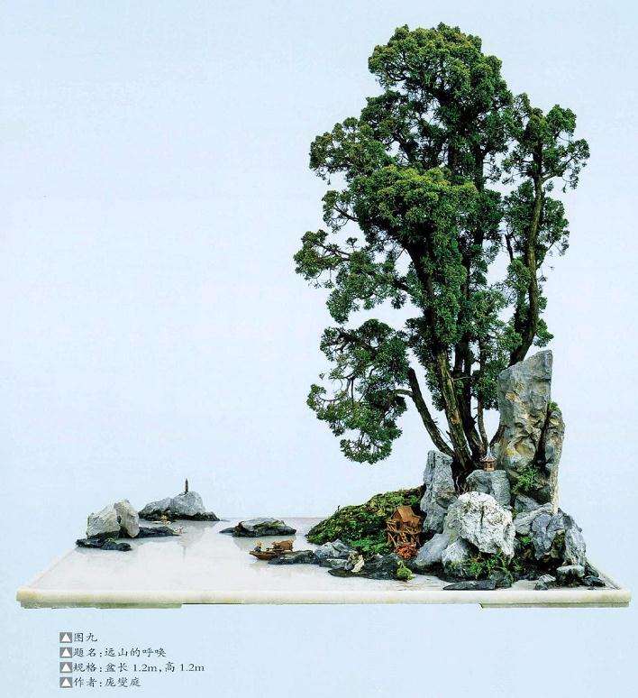 盆景作品远山的呼