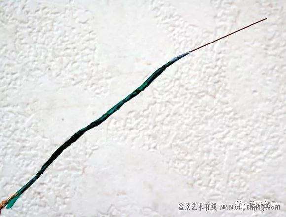 图解 黄杨盆景怎么穿接补枝的方法