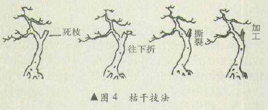 盆景怎么堆塑隆千法