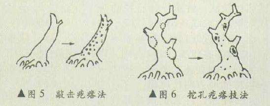 盆景怎么堆塑隆千法