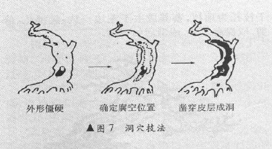 盆景怎么堆塑隆千法