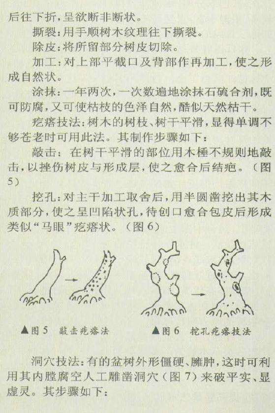 盆景怎么堆塑隆千法