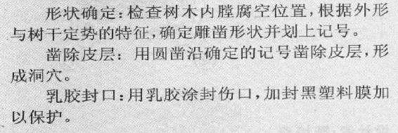 盆景怎么堆塑隆千法