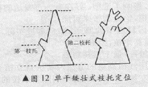 单干矮壮式盆景怎么造型的