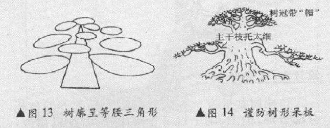 单干矮壮式盆景怎么造型的