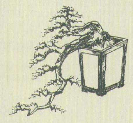 小型双干盆景怎么设计的方法