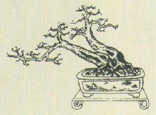 小型双干盆景怎么设计的方法